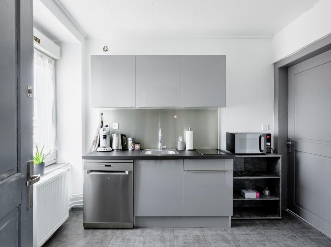 Myhome Basel 1B44 생루이 외부 사진